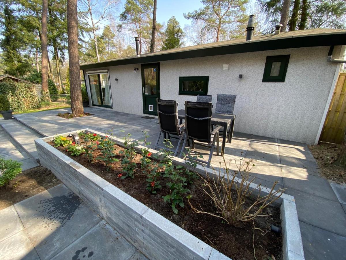 Vila Chalet Dennenvelt Doornspijk Exteriér fotografie