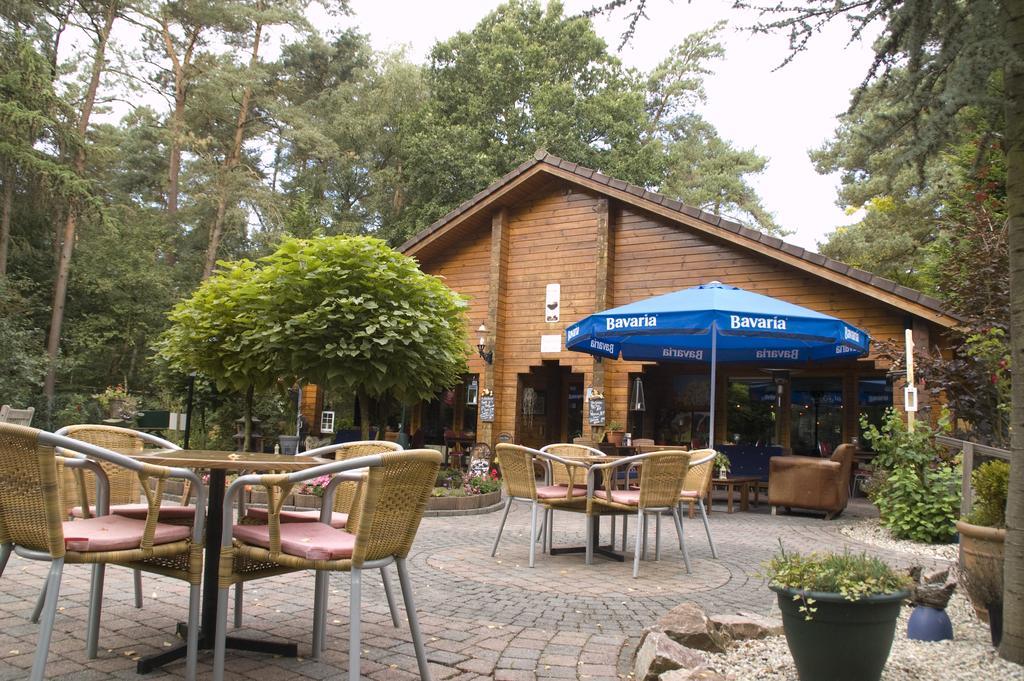 Vila Chalet Dennenvelt Doornspijk Exteriér fotografie